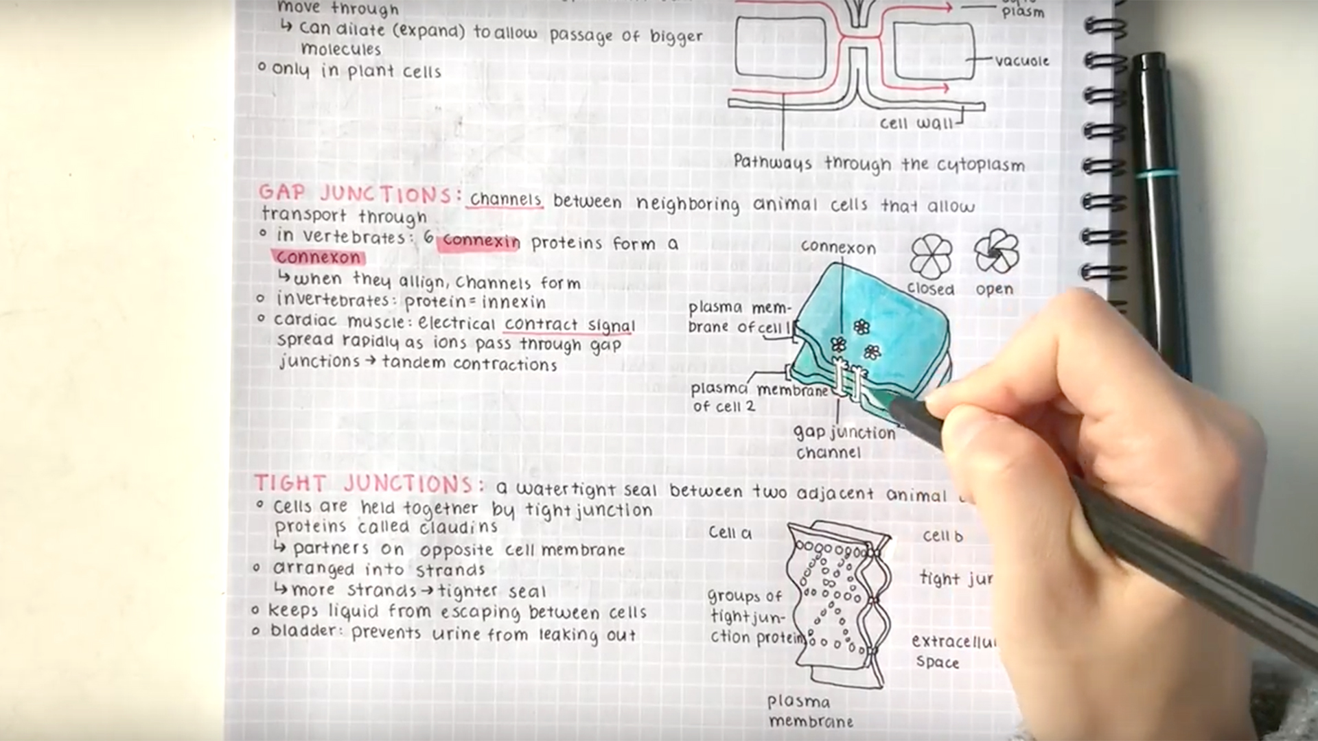 10 Note Taking Tips How To Take Neat And Effective Study Notes 